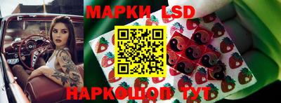 гидра Заводоуковск