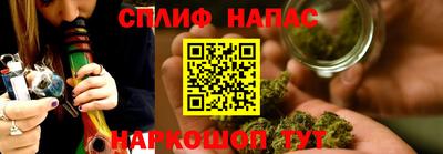 гидра Заводоуковск