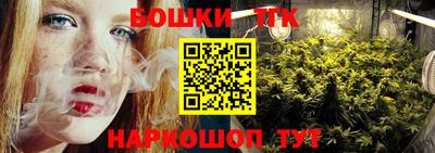 гидра Заводоуковск