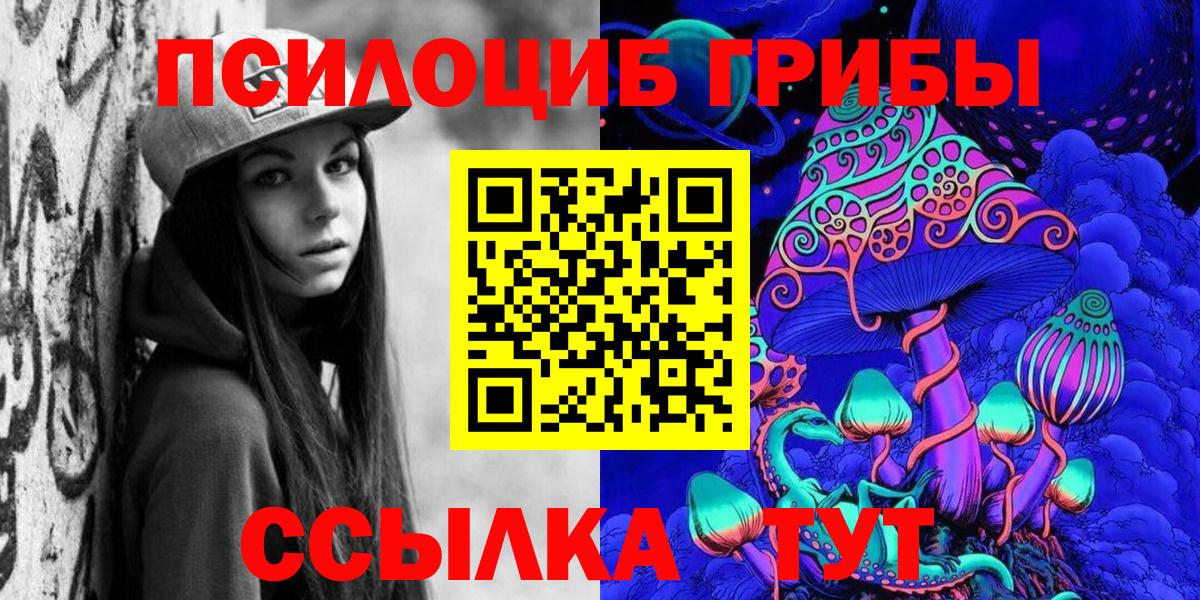 Псилоцибиновые грибы Cubensis Лесосибирск