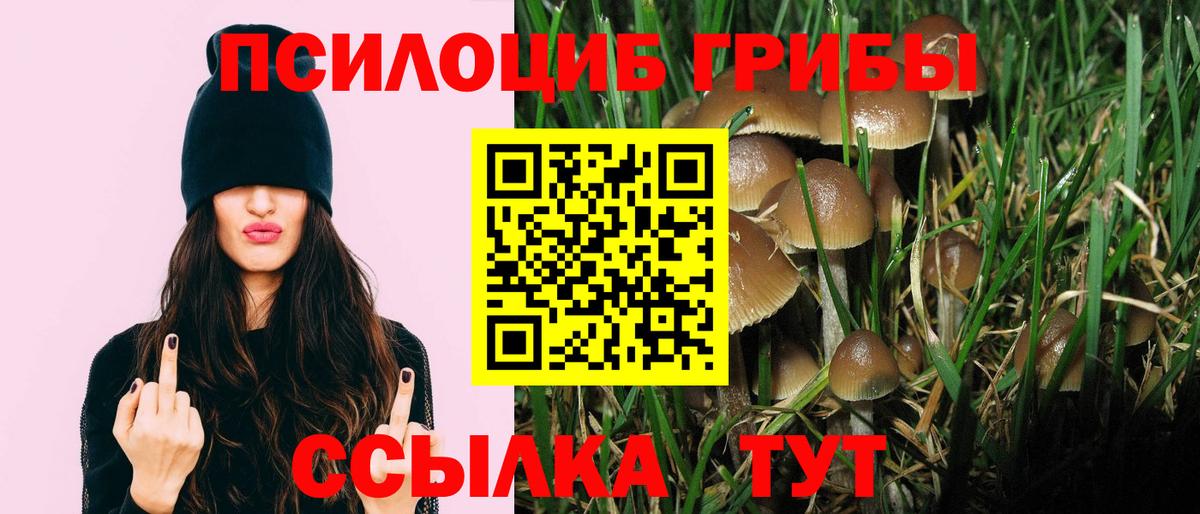 Лесосибирск  хочу   Вход с VPN  Галлюциногенные грибы ЛСД 